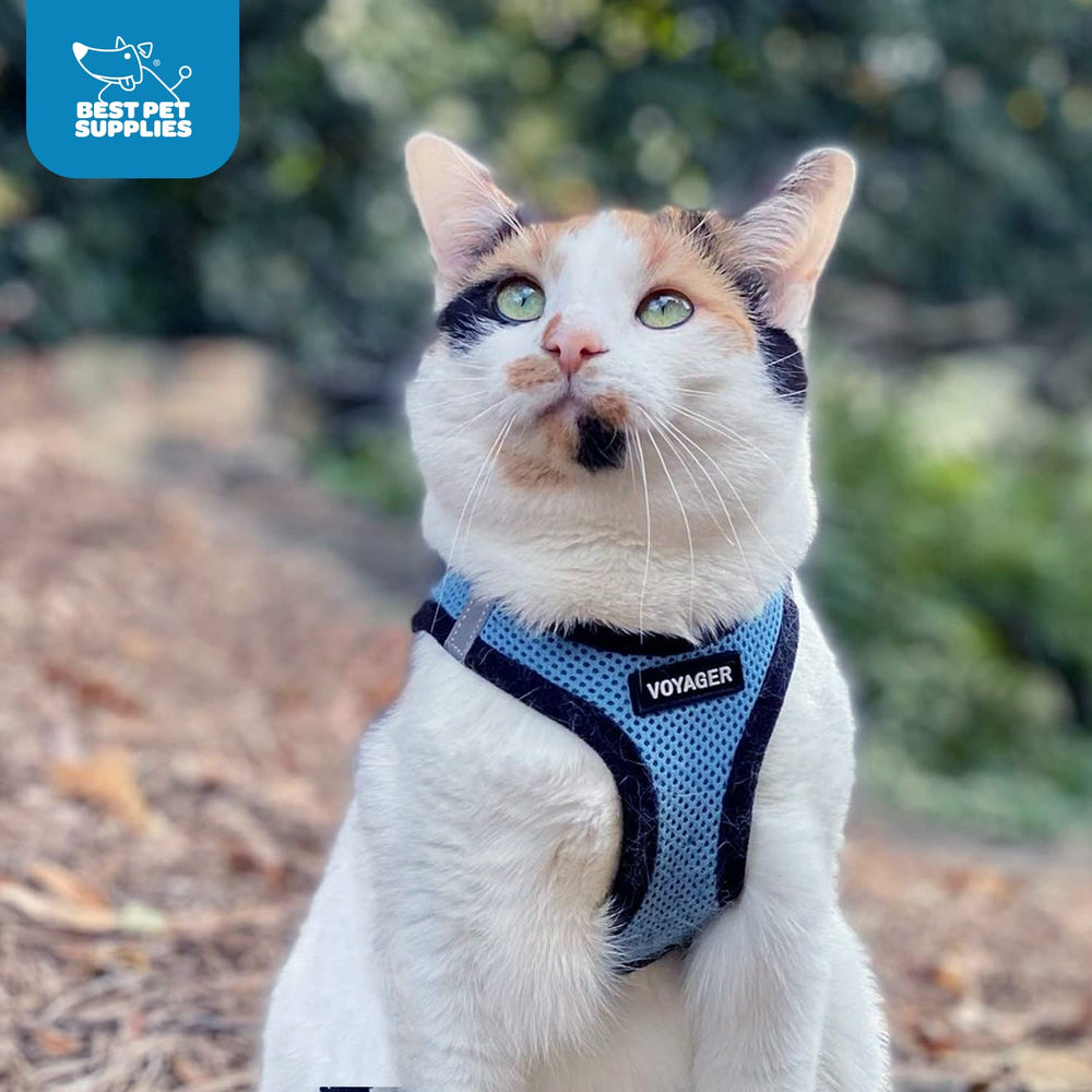 Best Pet Supplies Voyager harnais adapté chiens et chats en ville et nature