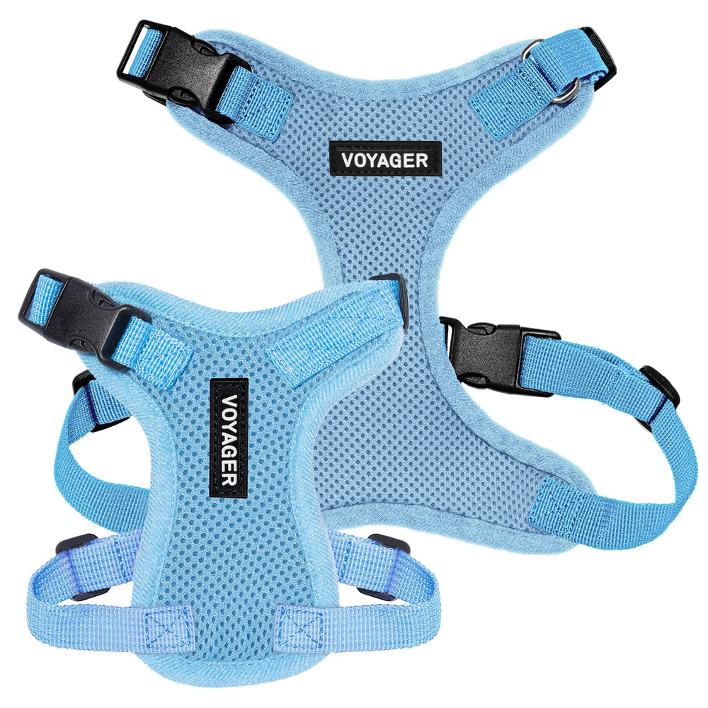 Laisse Voyager 5 pieds associée, conçue pour des promenades dynamiques et contrôlées.