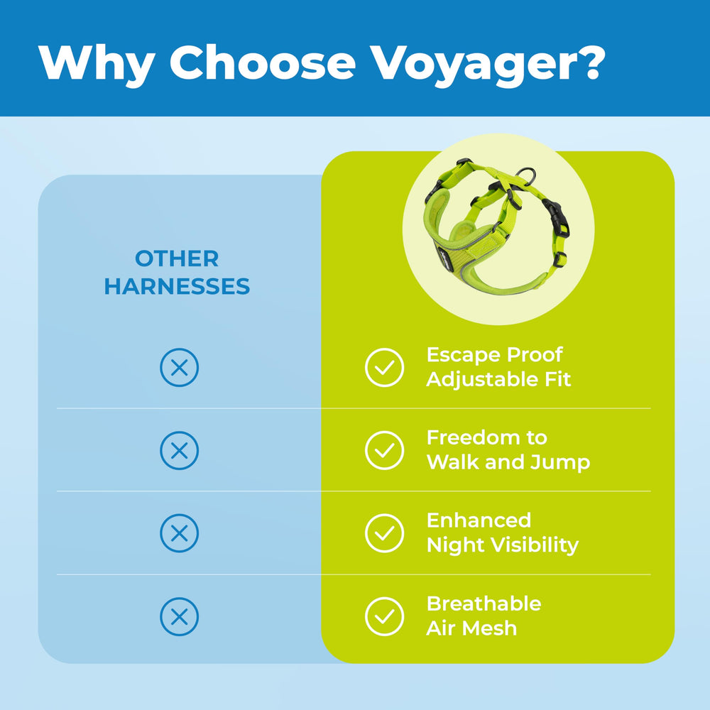 Laisse Voyager lime, conception résistante et légère pour longues balades.