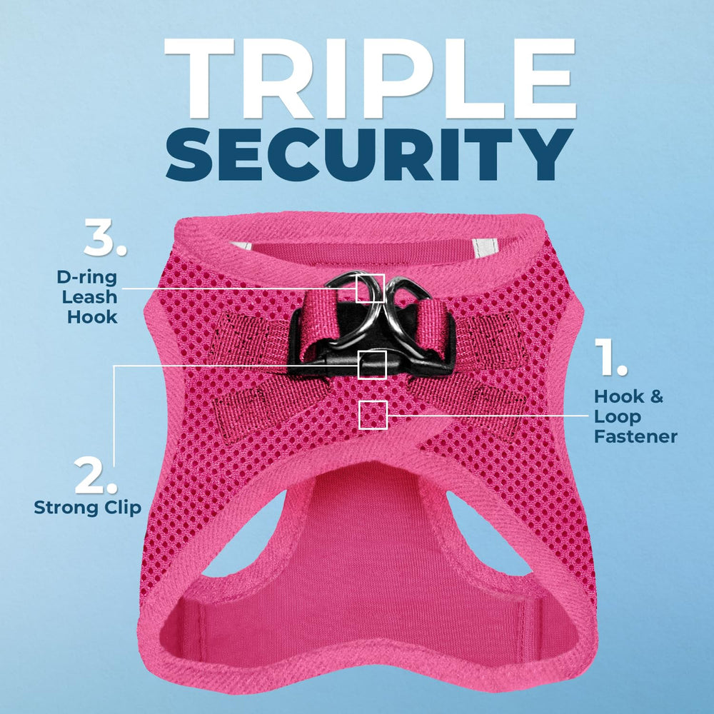 Laisse réfléchissante Voyager Best Pet Supplies de 5 pieds pour sécurité nocturne.