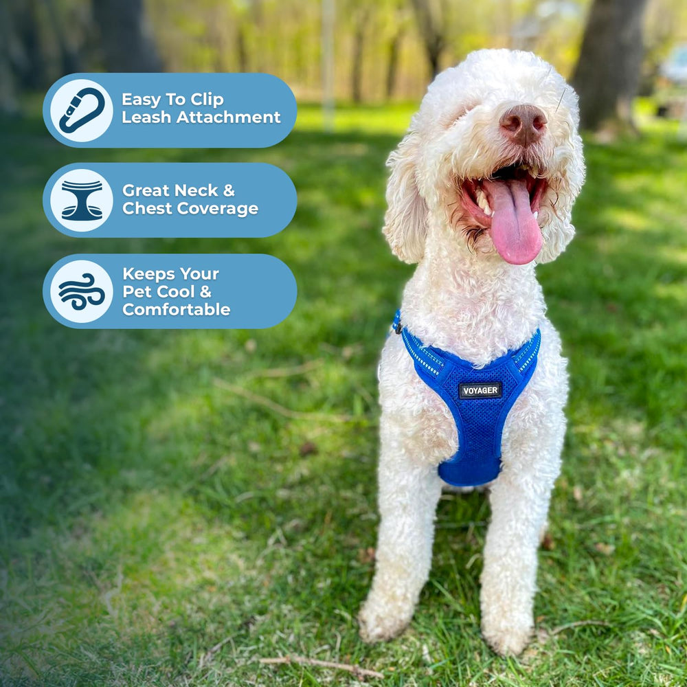 Harnais Voyager sans tirage, promenades plus sereines pour vous et votre chien.