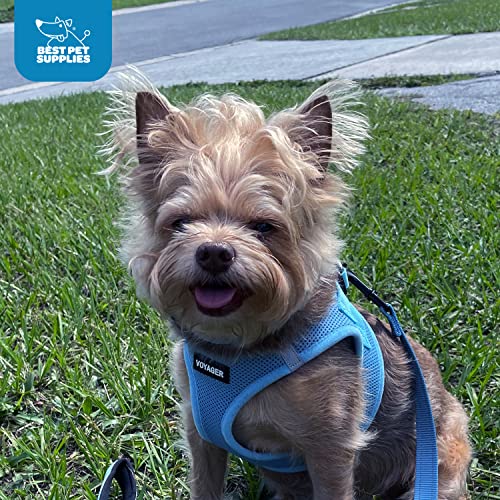 Best Pet Supplies Voyager compatible toutes saisons pour balades régulières bleu bébé.