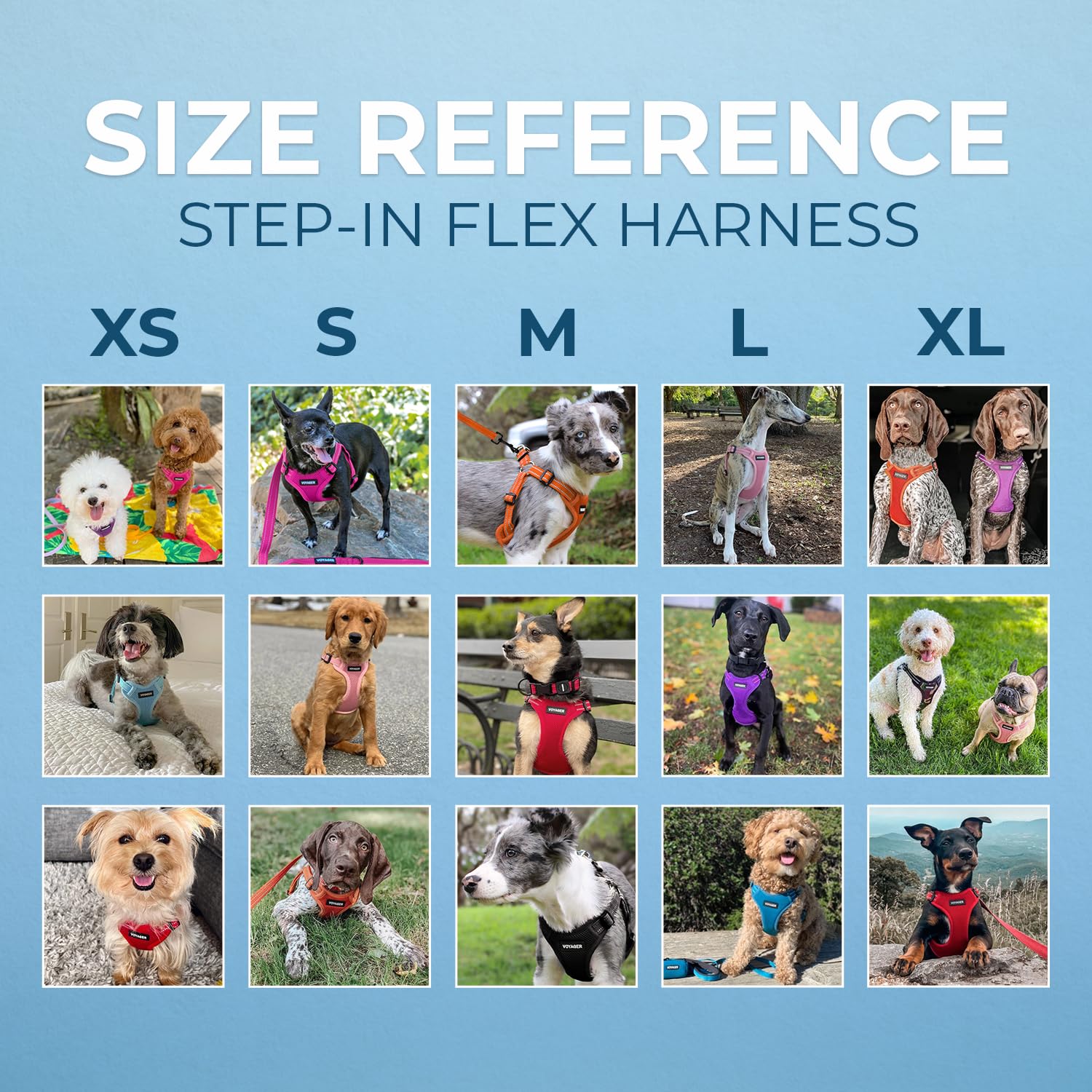 Bandes réfléchissantes 3M Scotchlite Best Pet Supplies Voyager pour plus de visibilité.