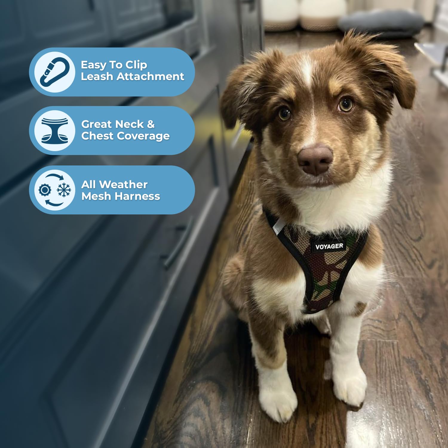 Système triple sécurité avec Velcro, boucle et D-rings doubles