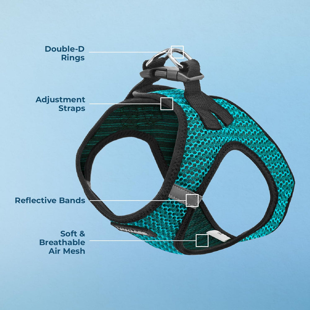 Fermeture à bande auto-agrippante du harnais Best Pet Supplies pour sécurité.