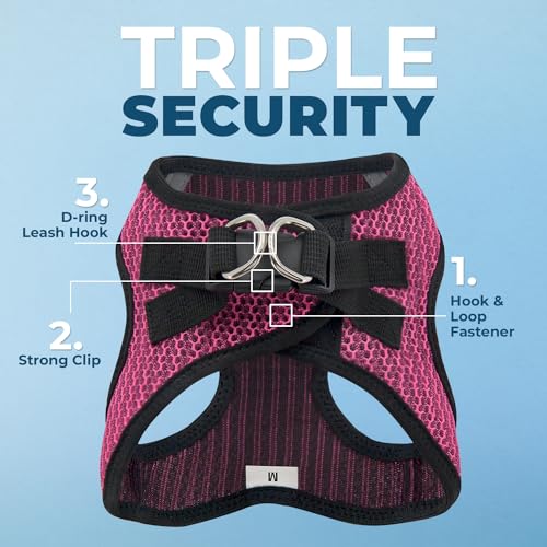 Best Pet Supplies Voyager Step-in Air harnais avec fermeture velcro sécurisée.