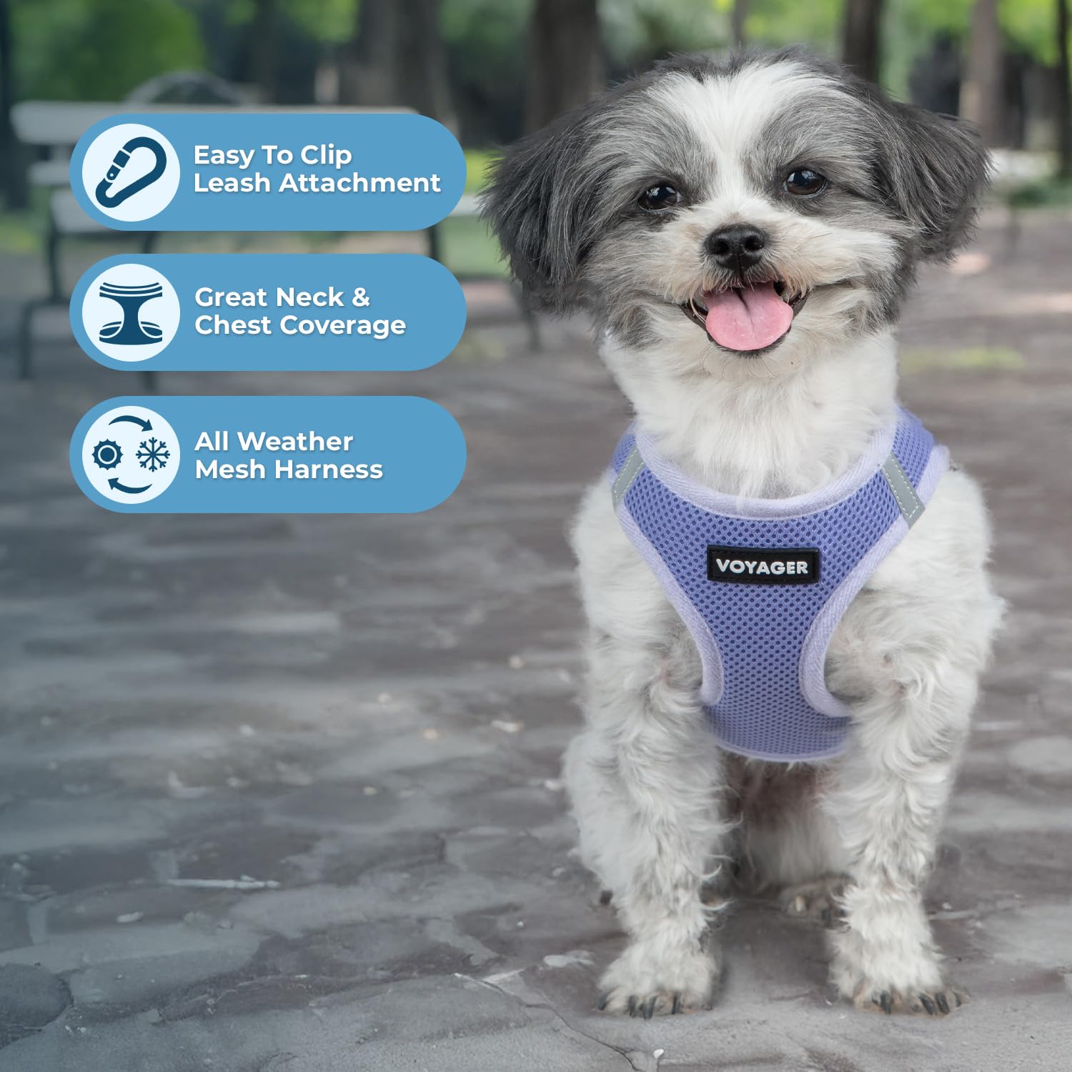 Best Pet Supplies Voyager Step-in Air Harnais, mesh respirant, liberté de mouvement.