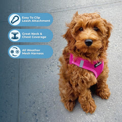 Best Pet Supplies Voyager Harnais Step-in Air, bandes réfléchissantes, meilleure visibilité en faible lumière.