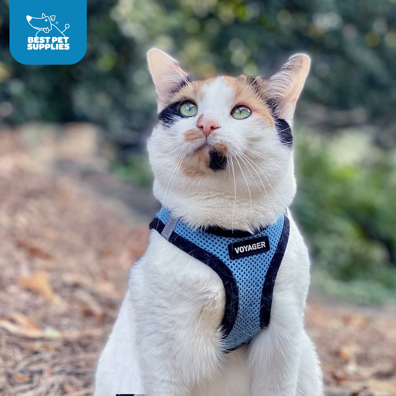 Best Pet Supplies Voyager Step-in Air, matiere respirante et legere pour le confort.