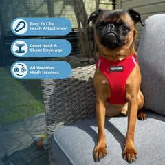 Best Pet Supplies Voyager Step-in Air Harness fermeture velcro sûre et rapide.