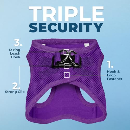 Best Pet Supplies Voyager Step-in Air Harness violet, bandes réfléchissantes pour meilleure visibilité.