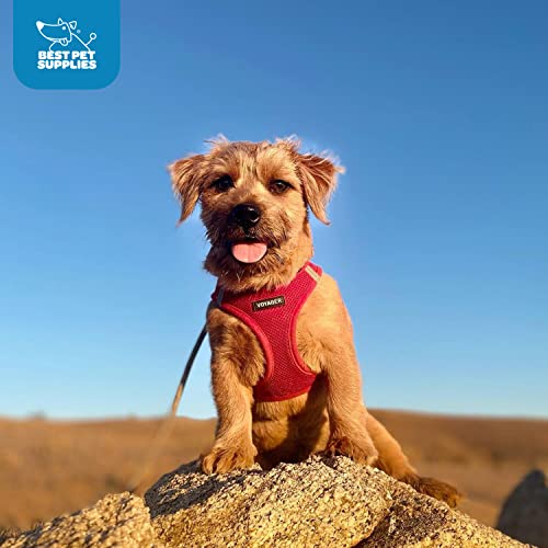 Best Pet Supplies Voyager Step-in Air Harness securite accrue pour chien et chat.