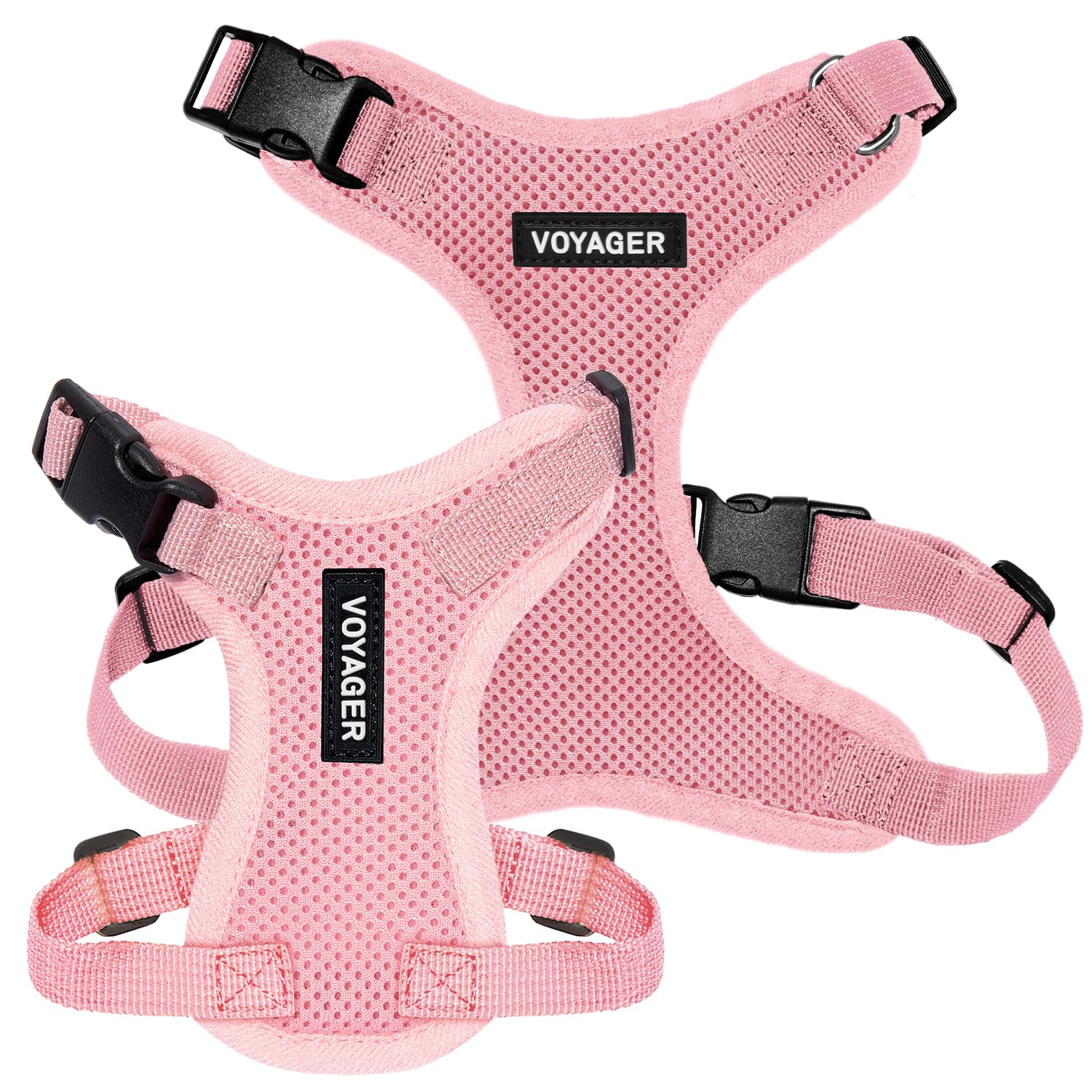 Boucles sécurisées et attache D fiables pour un contrôle en douceur.