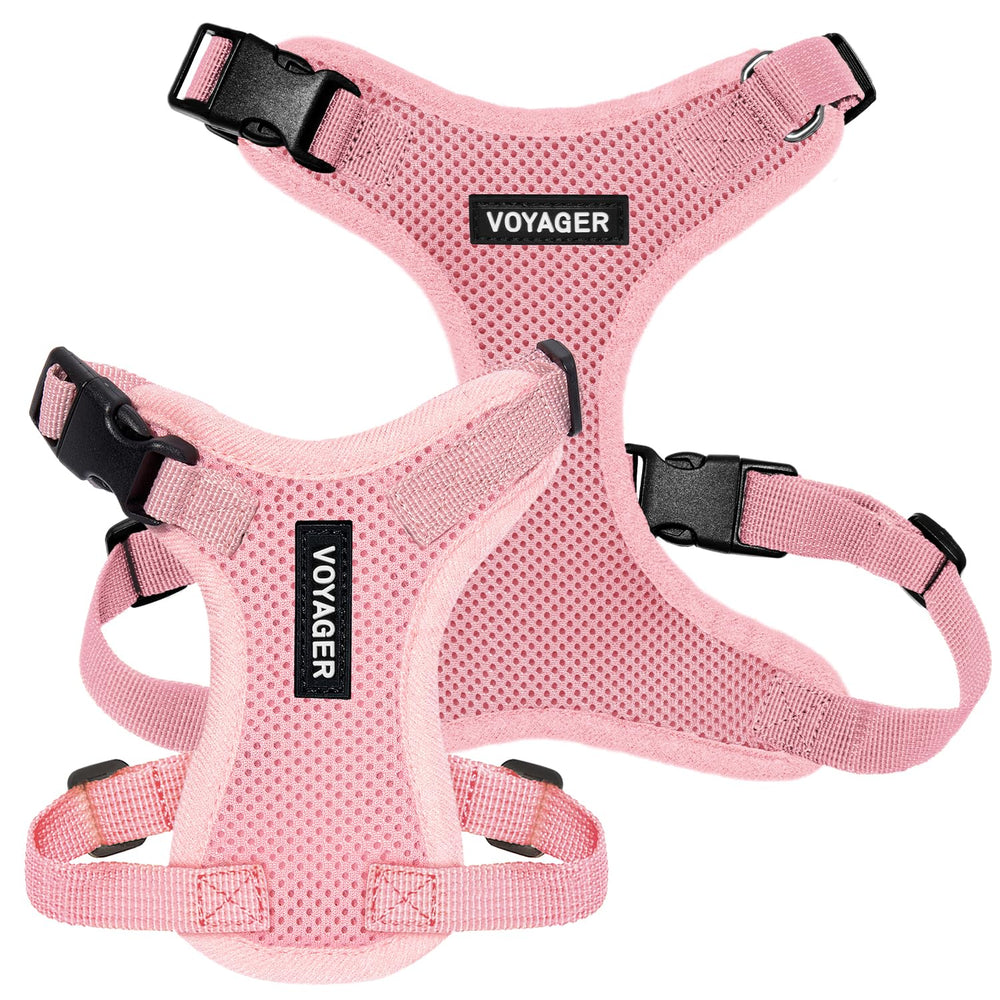 Boucles sécurisées et attache D fiables pour un contrôle en douceur.