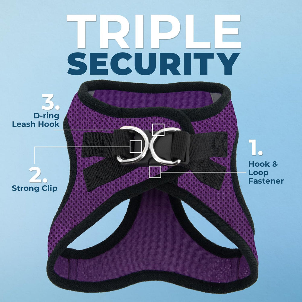 Best Pet Supplies Voyager Step-in: visibilite accrue pour sorties matin et soir.