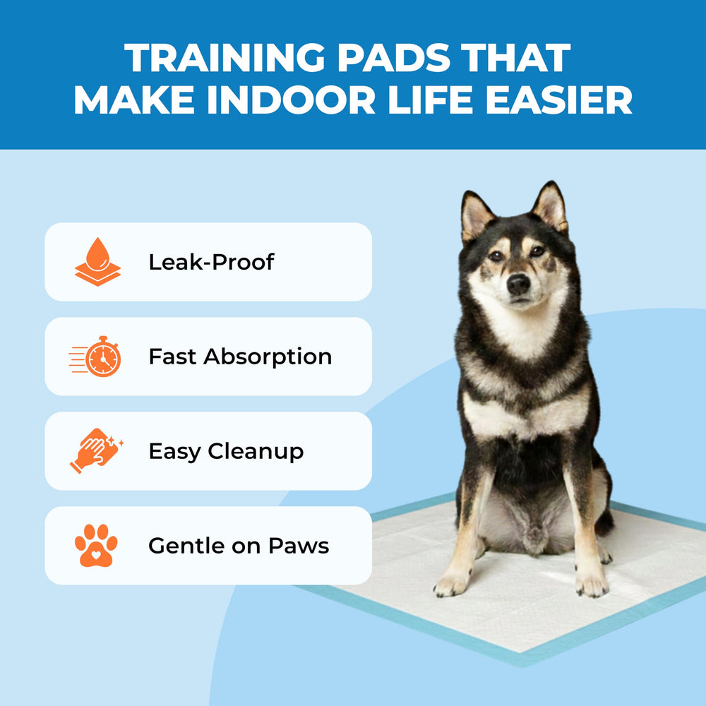 Best Pet Supplies XL pads sechage-rapide: surface rapide pour eviter les flaques et reduire le deplacement.