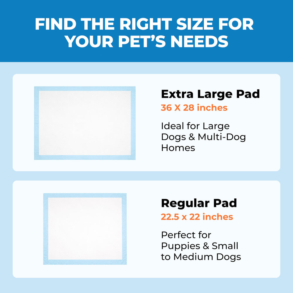Best Pet Supplies XL pads voyage: pratique lors des deplacements et en cage.