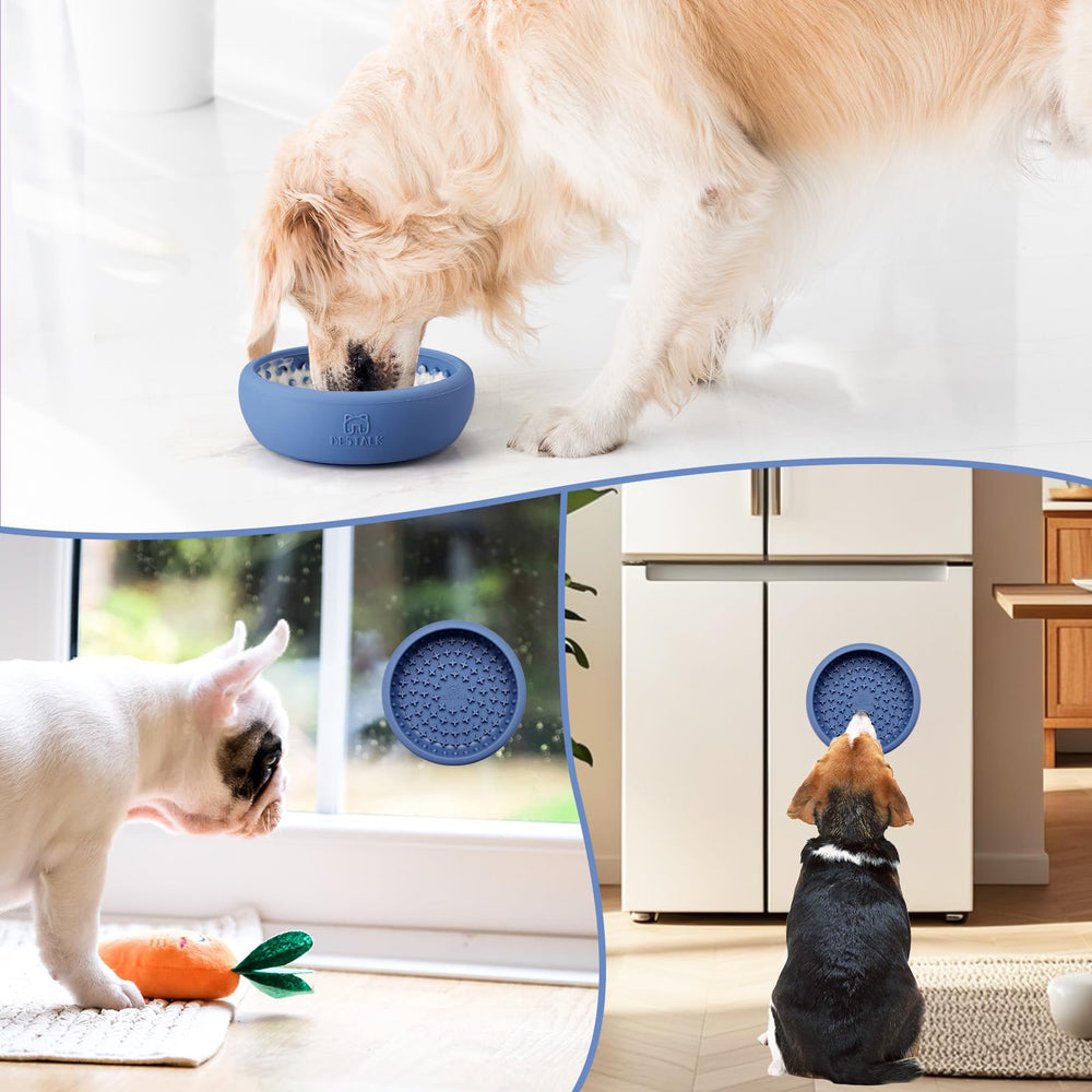 Bestalk bol de lechage usage quotidien pour distraction et enrichissement