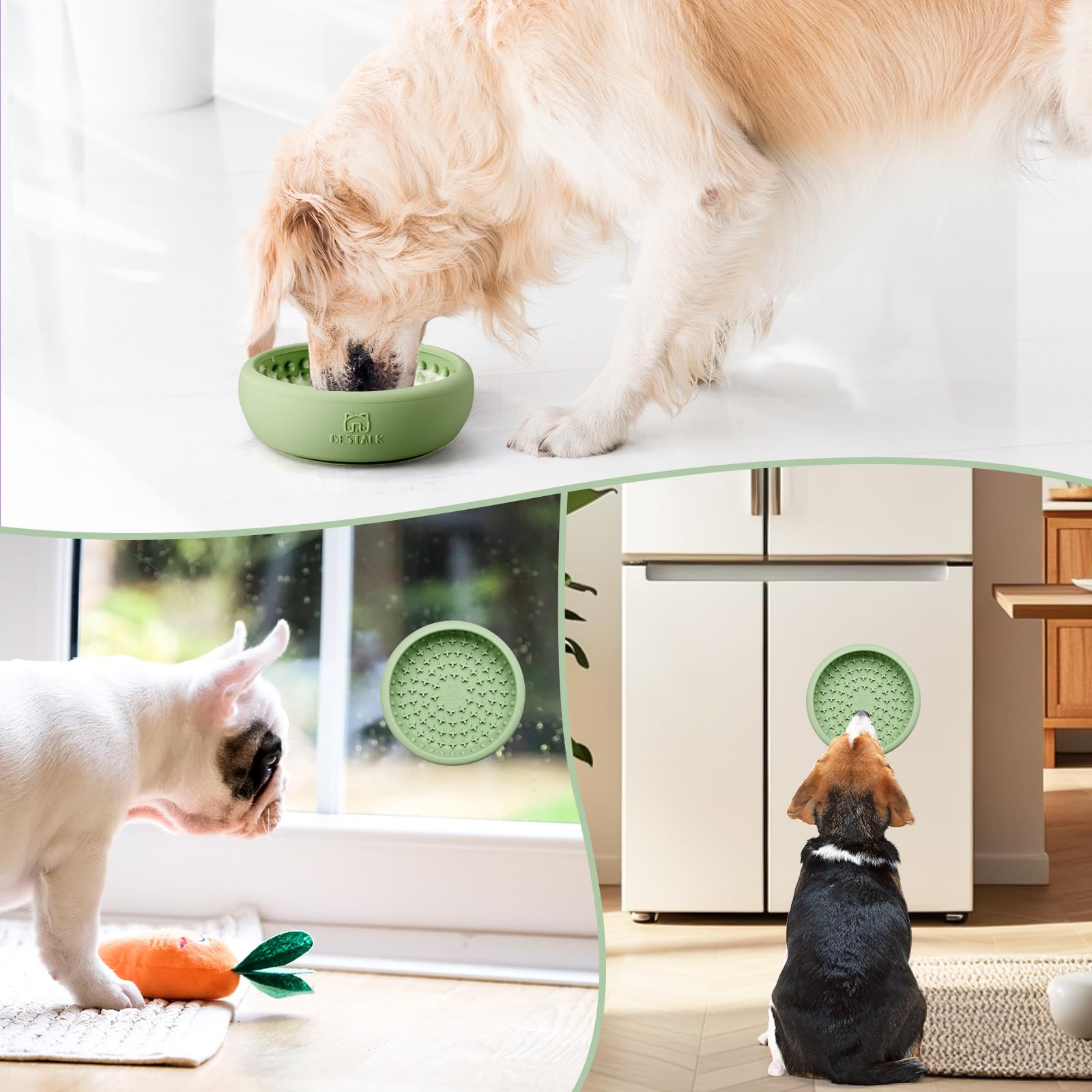 Bestalk expérience repas interactive pour chien, plaisir et distraction