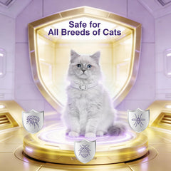 BestHoby colier gris chat avec boucle ajustable pour un ajustement sûr.