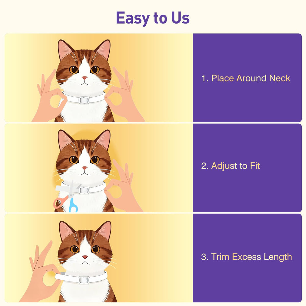 BestHoby colier pour chat: design tendance qui accompagne les sorties au quotidien.