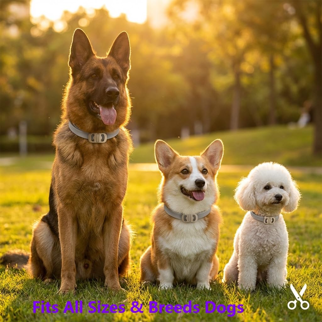 BestHoby collier ajustable gris – s'adapte à toutes les tailles de chien