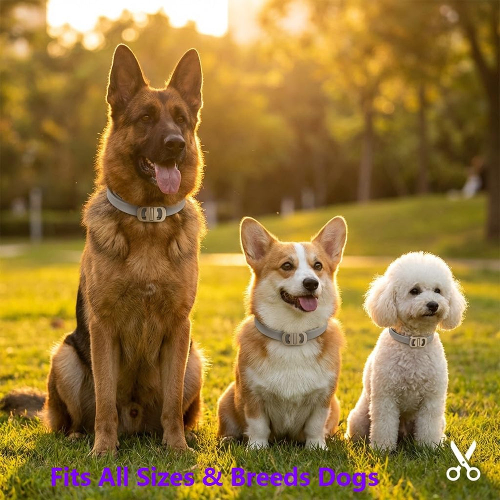 BestHoby collier ajustable gris – s'adapte à toutes les tailles de chien
