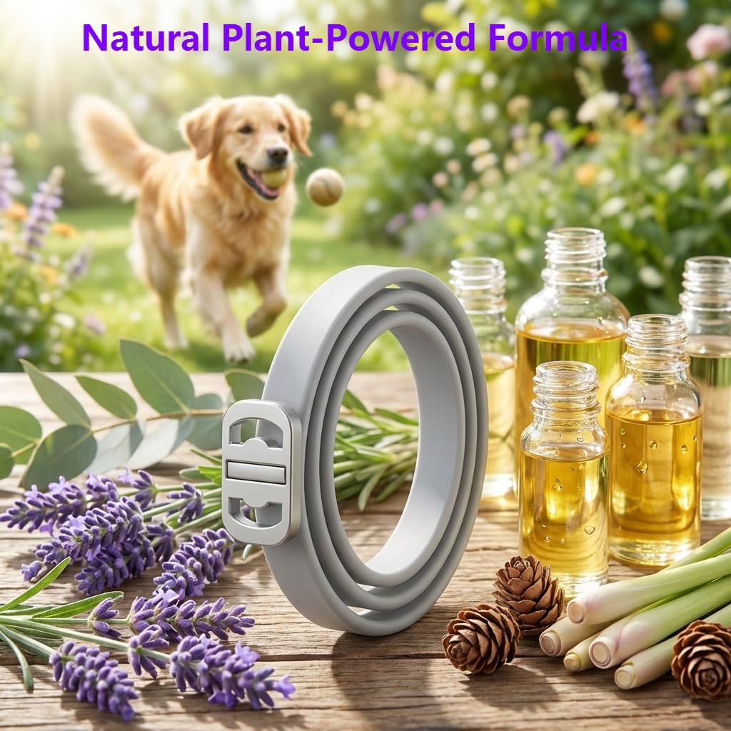 BestHoby collier pour chiens – huiles essentielles naturelles, senteur douce et bénéfices aromatiques