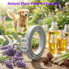 BestHoby collier pour chiens – huiles essentielles naturelles, senteur douce et bénéfices aromatiques