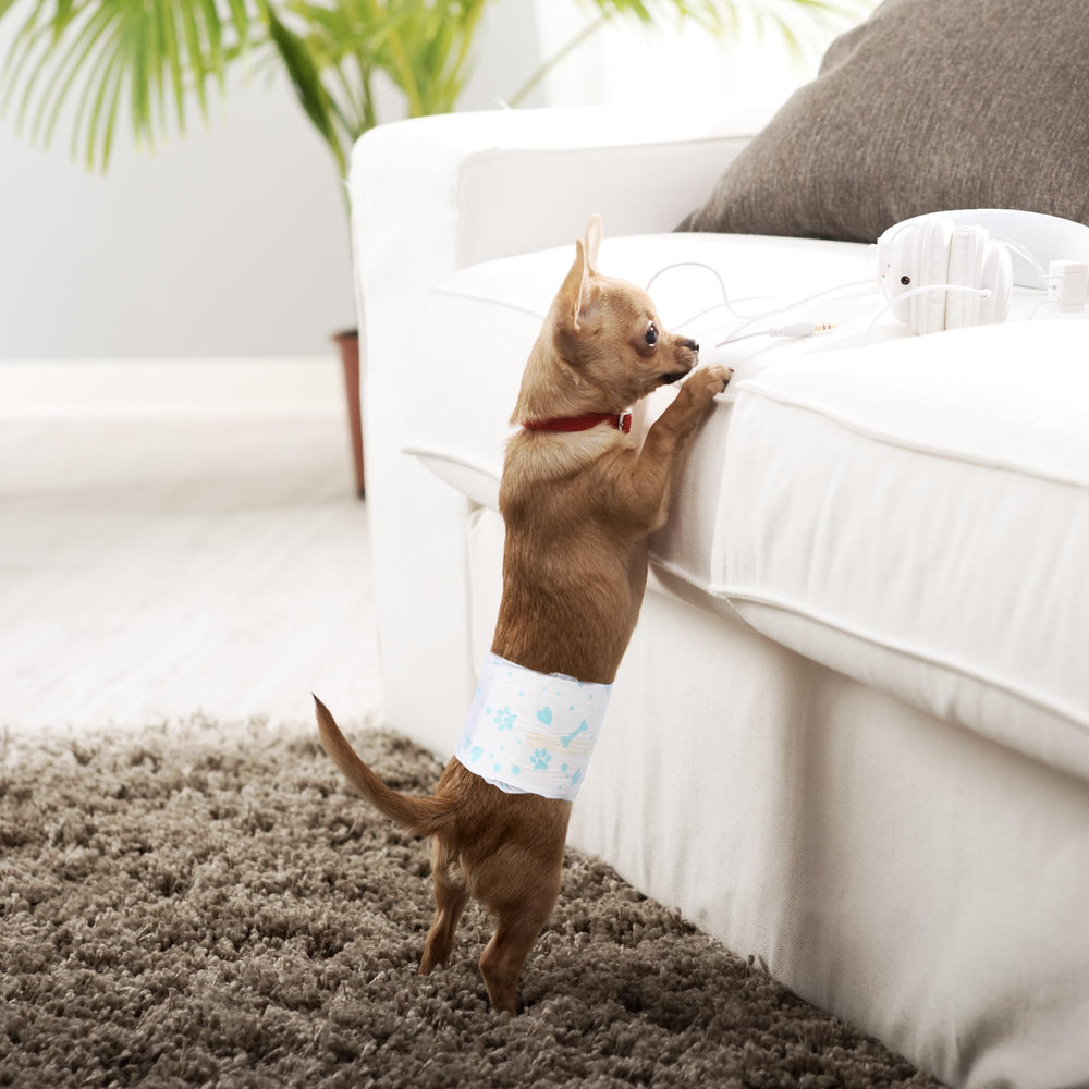 BESTLE couches mâle wrap – idéal pour sorties et vacances avec votre chien
