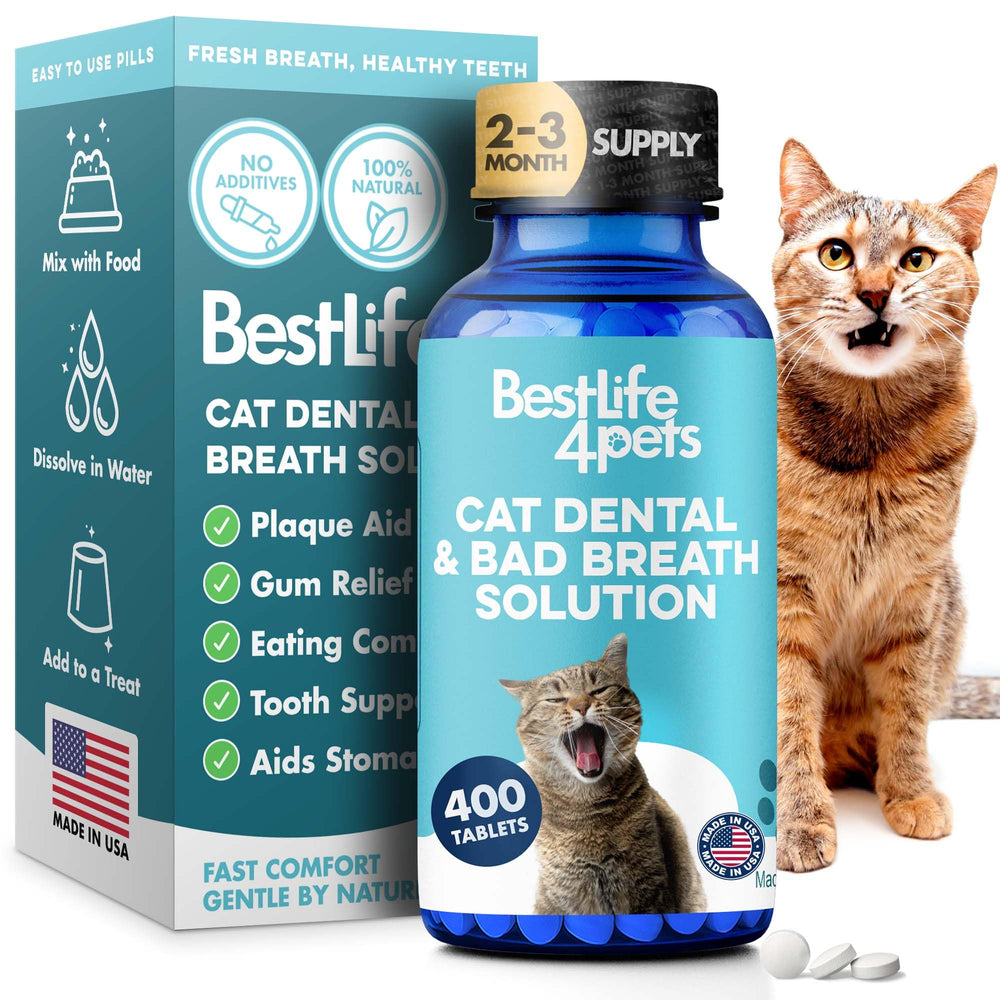 BestLife4Pets: bouteille de complément dentaire chat pour haleine fraîche et gencives saines