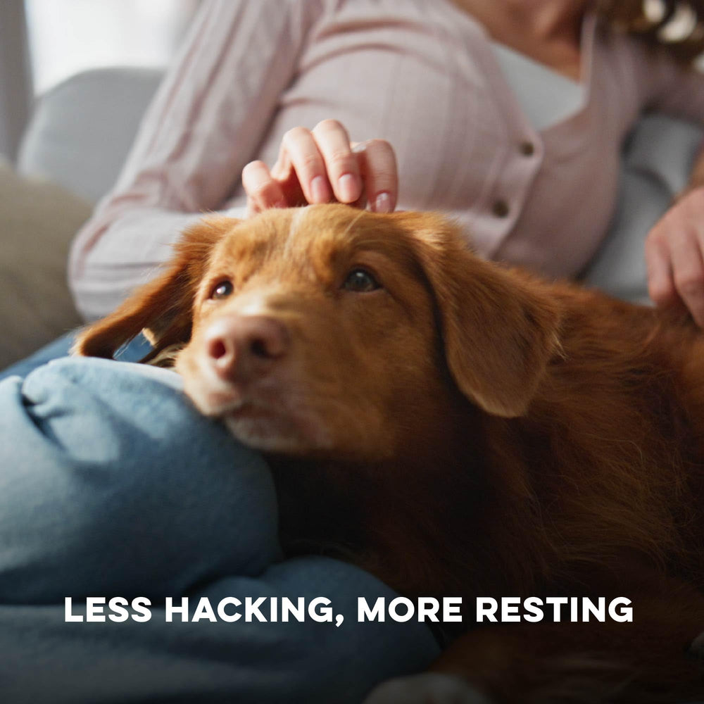 Convient aux chiens seniors: pellets BestLife4Pets Breathe Easy.