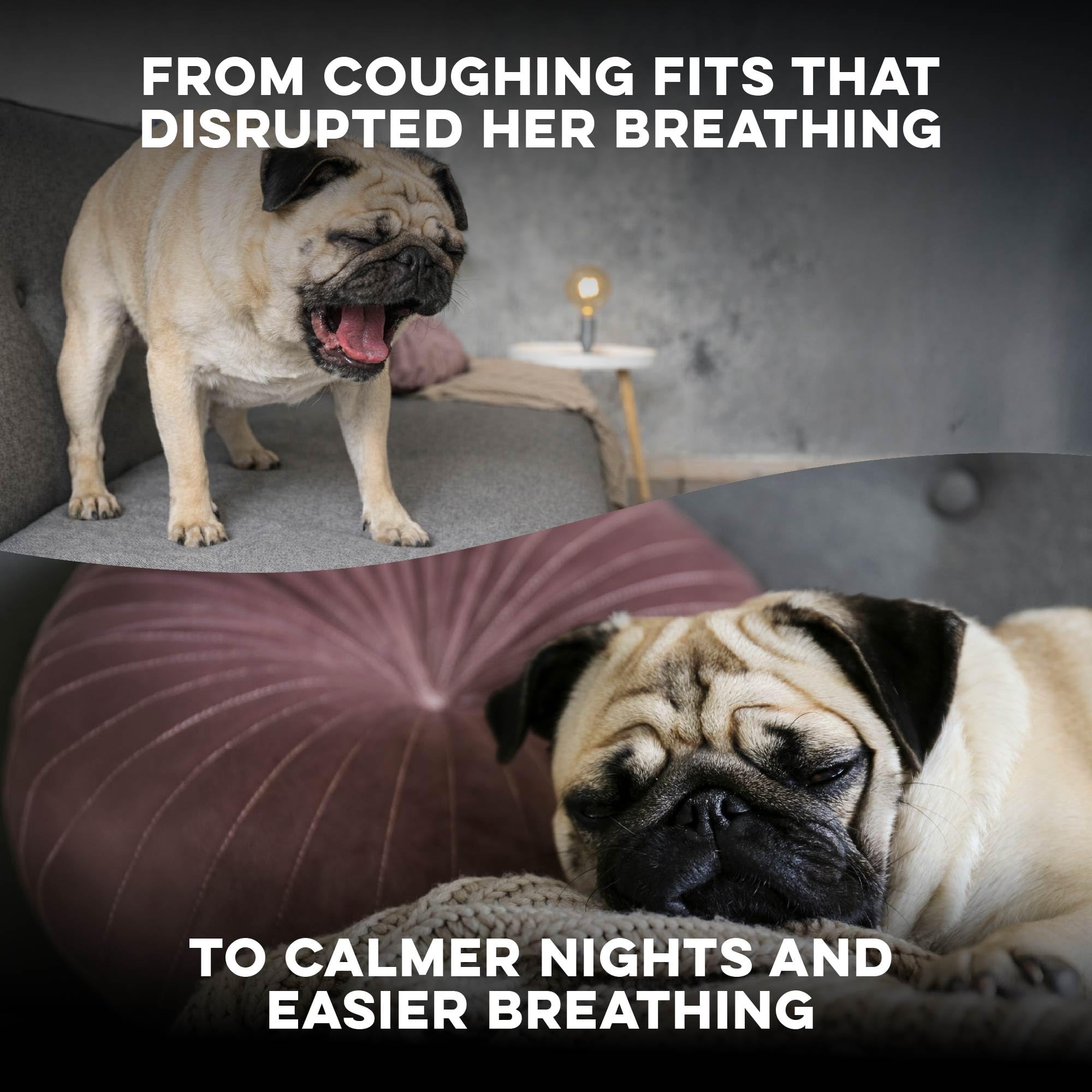 Nuits plus calmes grâce aux pellets BestLife4Pets Breathe Easy.