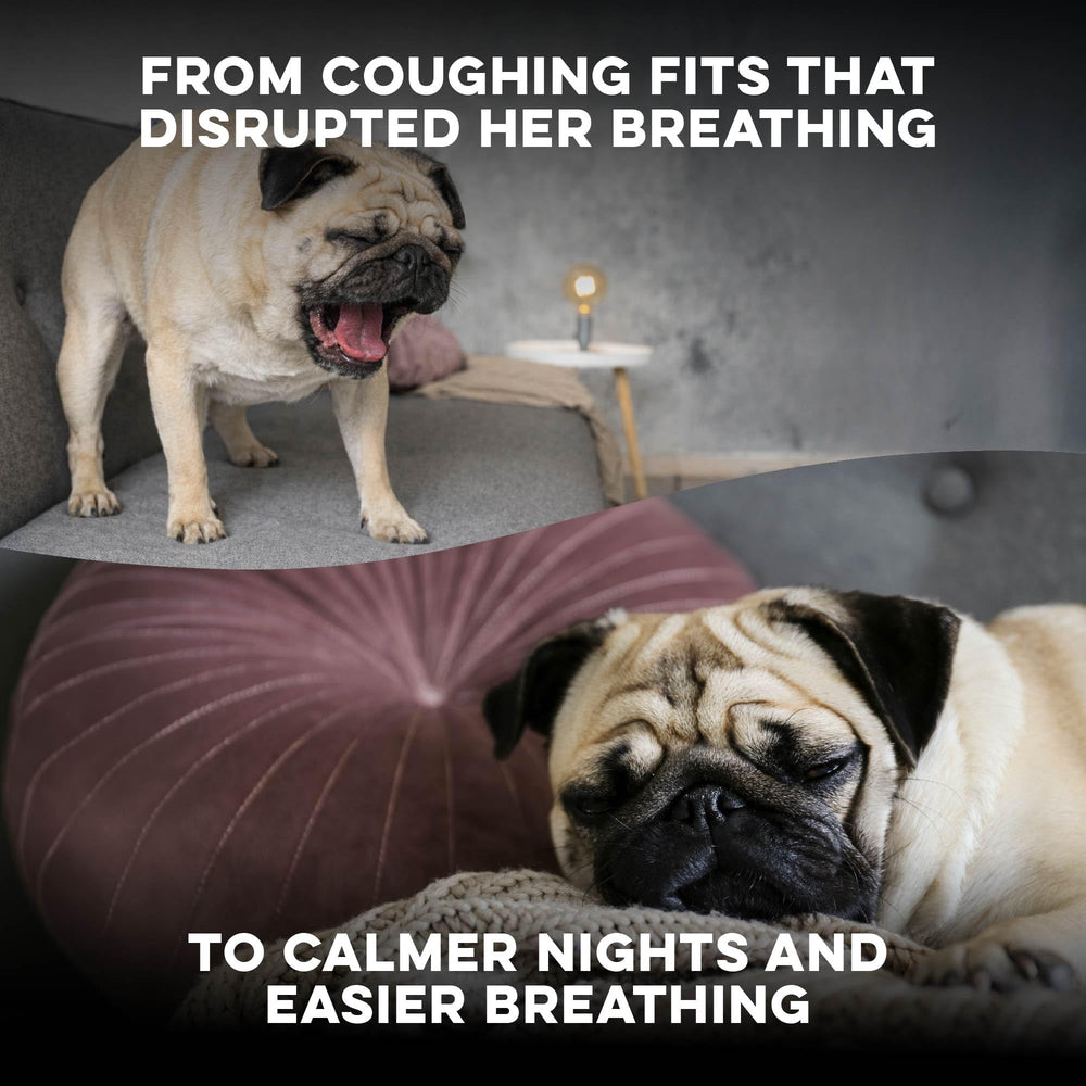 Nuits plus calmes grâce aux pellets BestLife4Pets Breathe Easy.