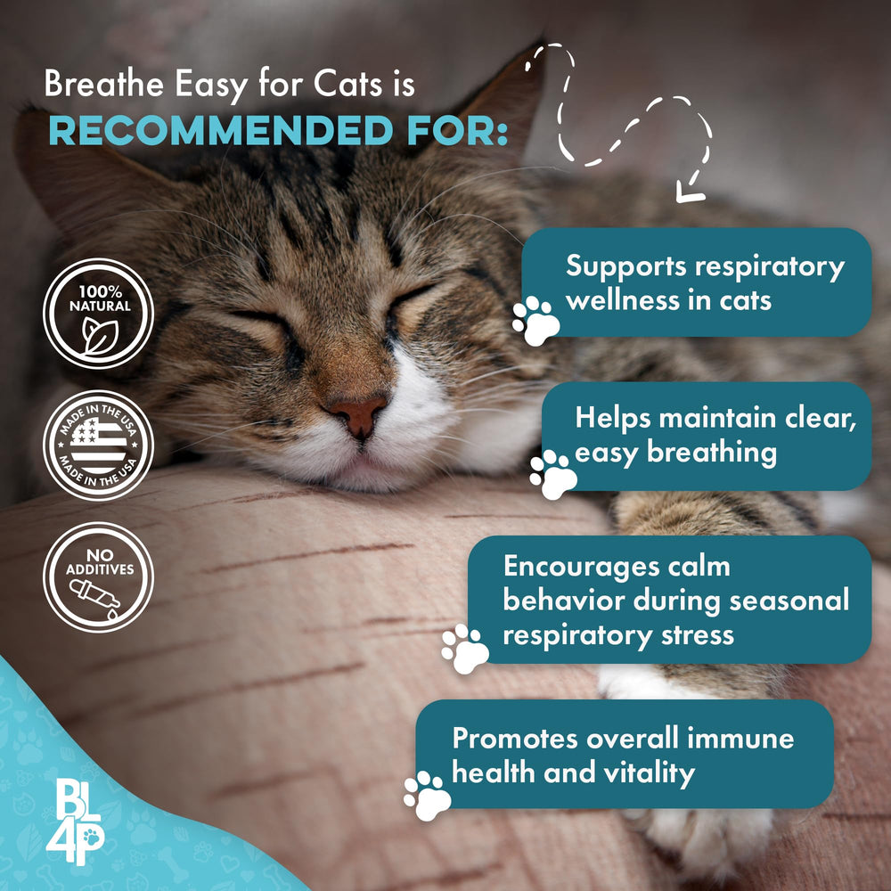 BestLife4Pets Présentation naturelle: sans arômes pour chats sensibles.