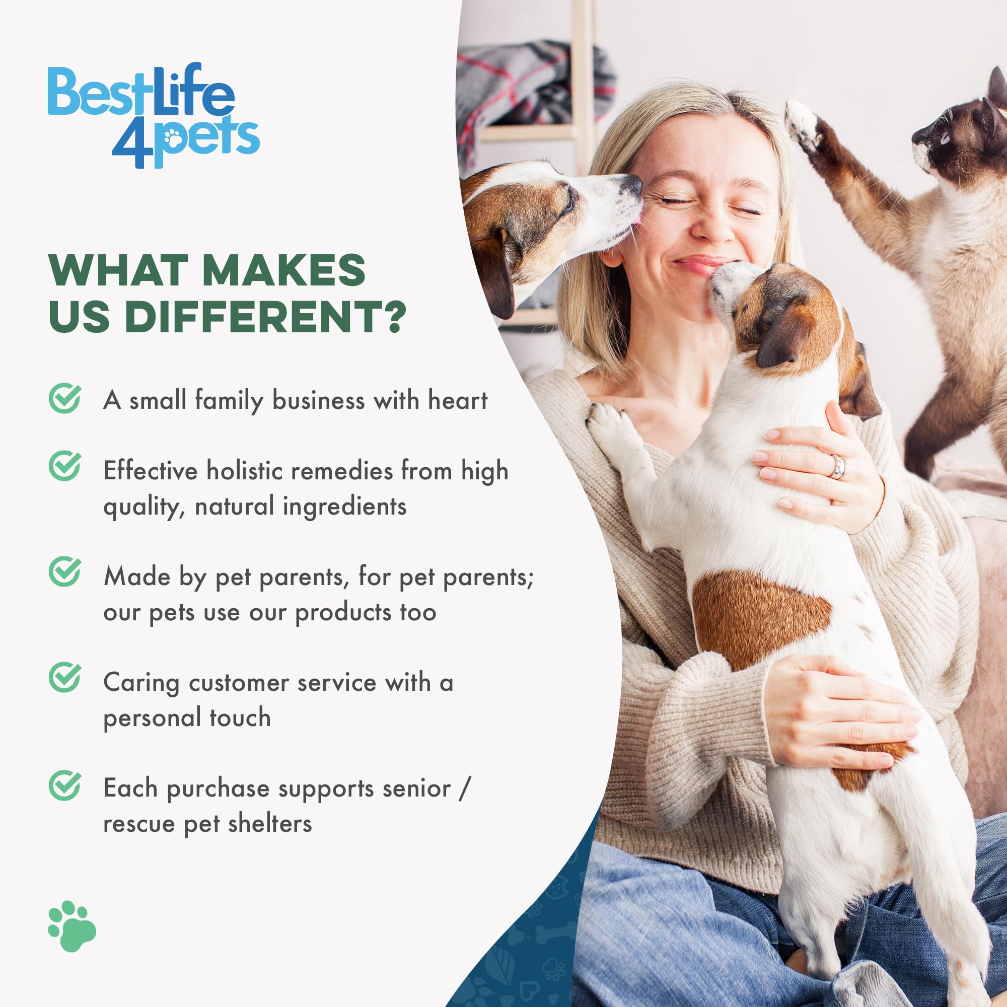 BestLife4Pets Chat: dissolution rapide des pilules dans l’eau pour facilité d’usage