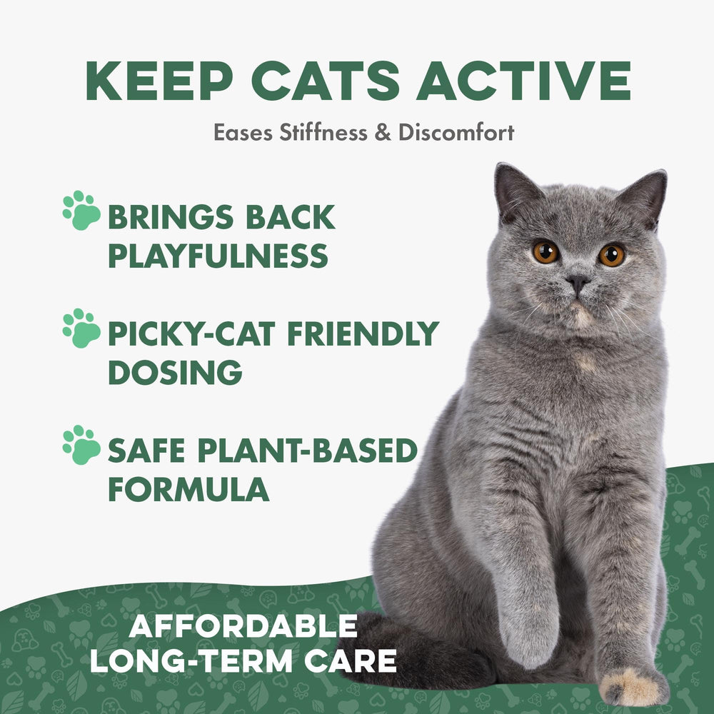 BestLife4Pets Chat: formule végétale pour la mobilité et le confort des articulations