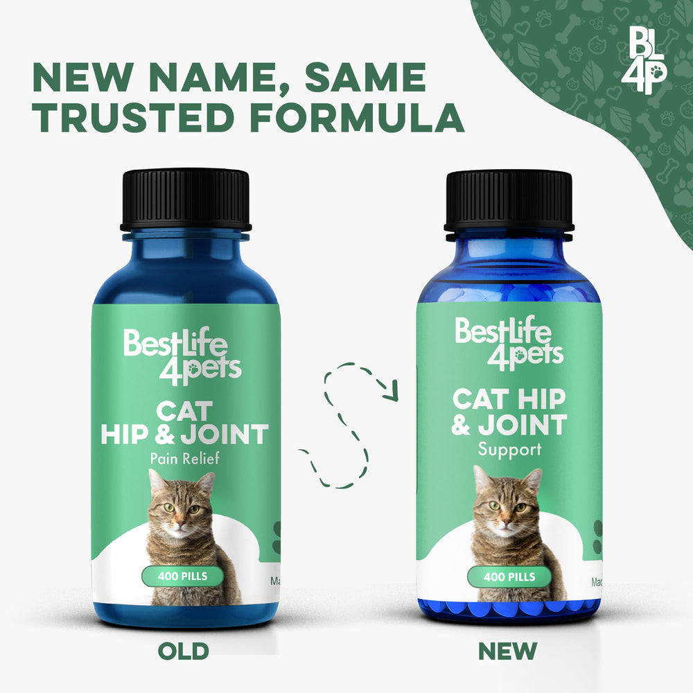 BestLife4Pets Chat: pilules sans goût qui se dissolvent dans l’eau, usage pratique