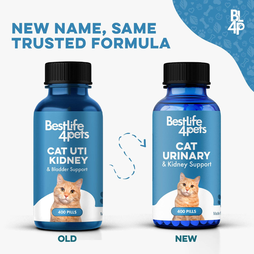 BestLife4Pets chat pelules uti remede, pilules faciles à mélanger dans la nourriture.
