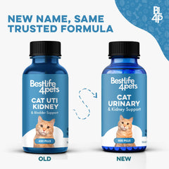 BestLife4Pets chat pelules uti remede, pilules faciles à mélanger dans la nourriture.