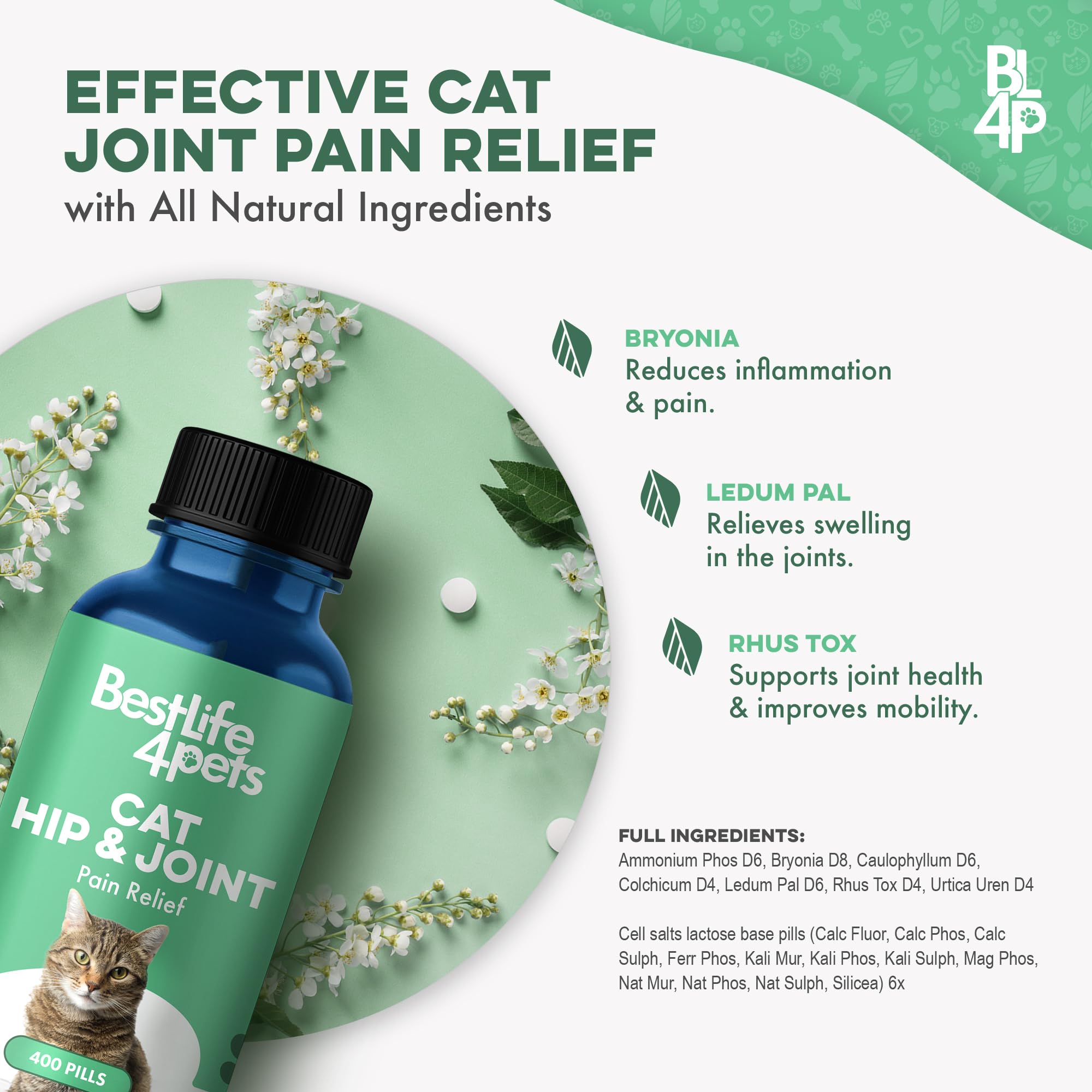 BestLife4Pets Chat: pilules sans odeur faciles à administrer pour chats sensibles