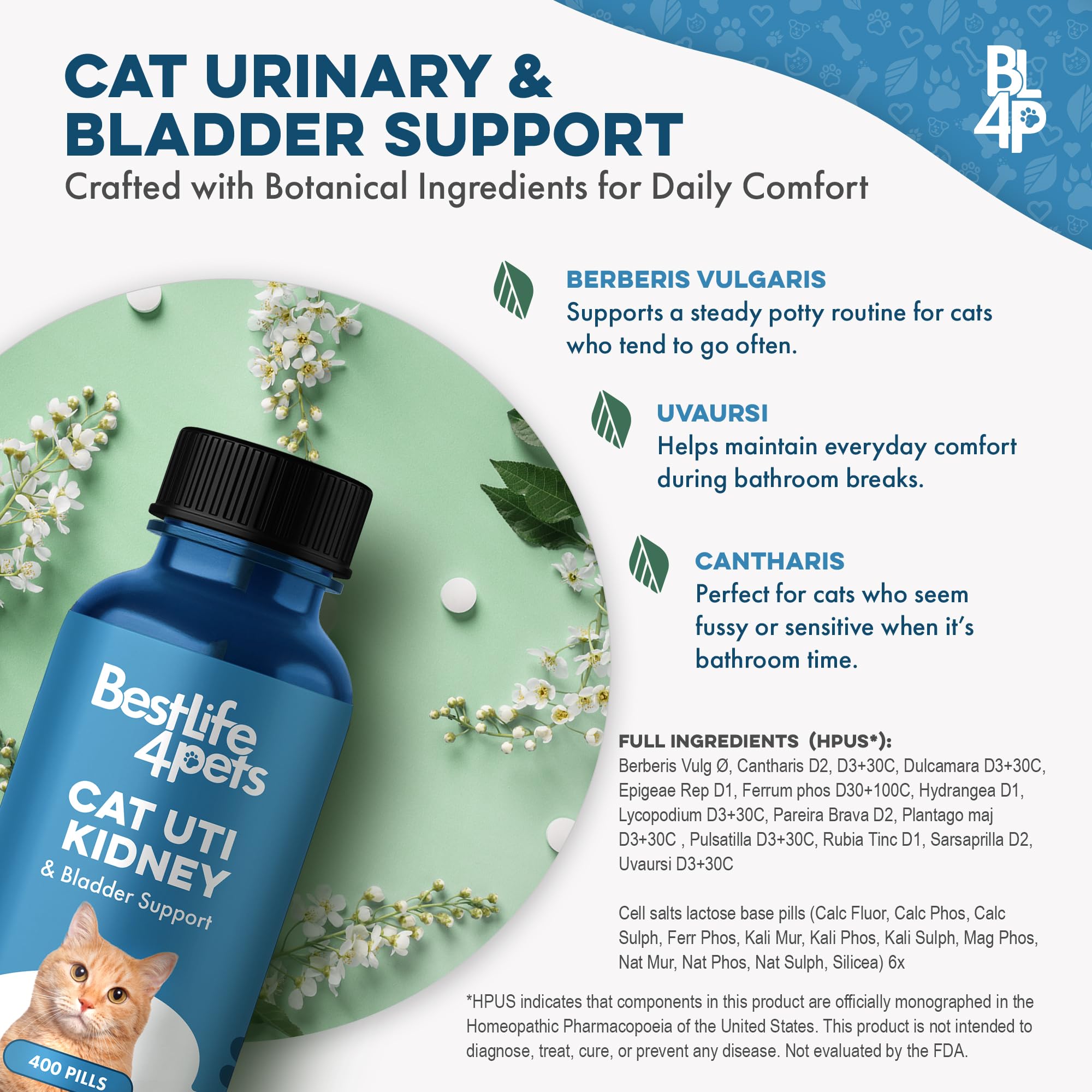 BestLife4Pets chat sante renale bien etre, représentation d une routine naturelle.