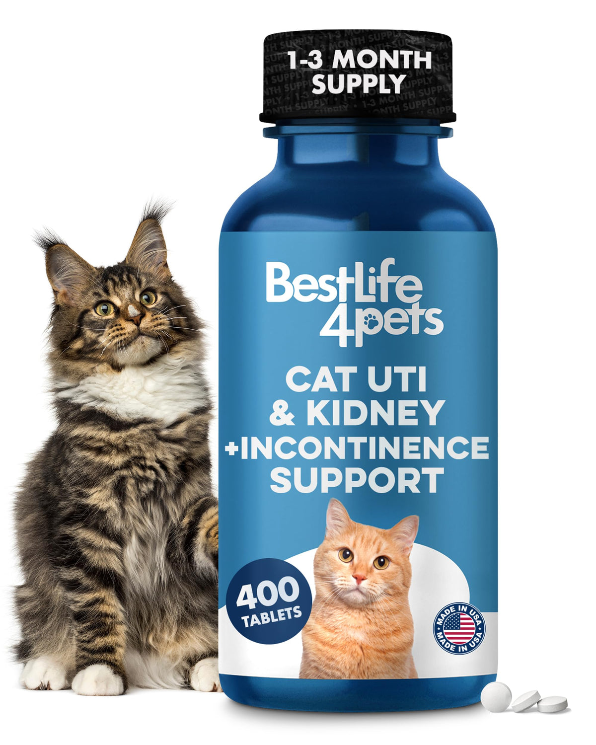 BestLife4Pets chat uti remède, bouteille de pilules pour soutien rénal potentiel.