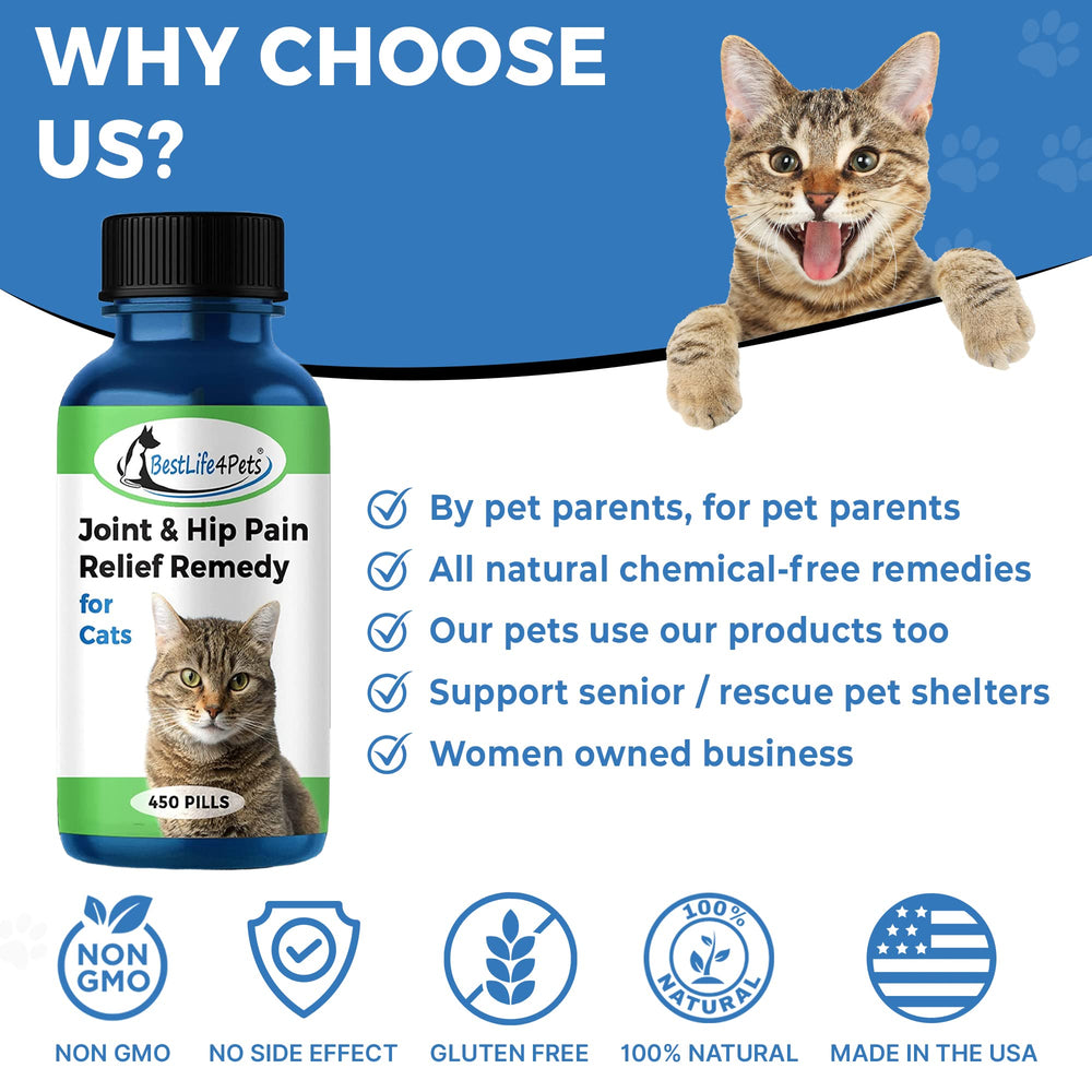 BestLife4Pets Chat: pilules adaptées aux chats difficiles à administrer