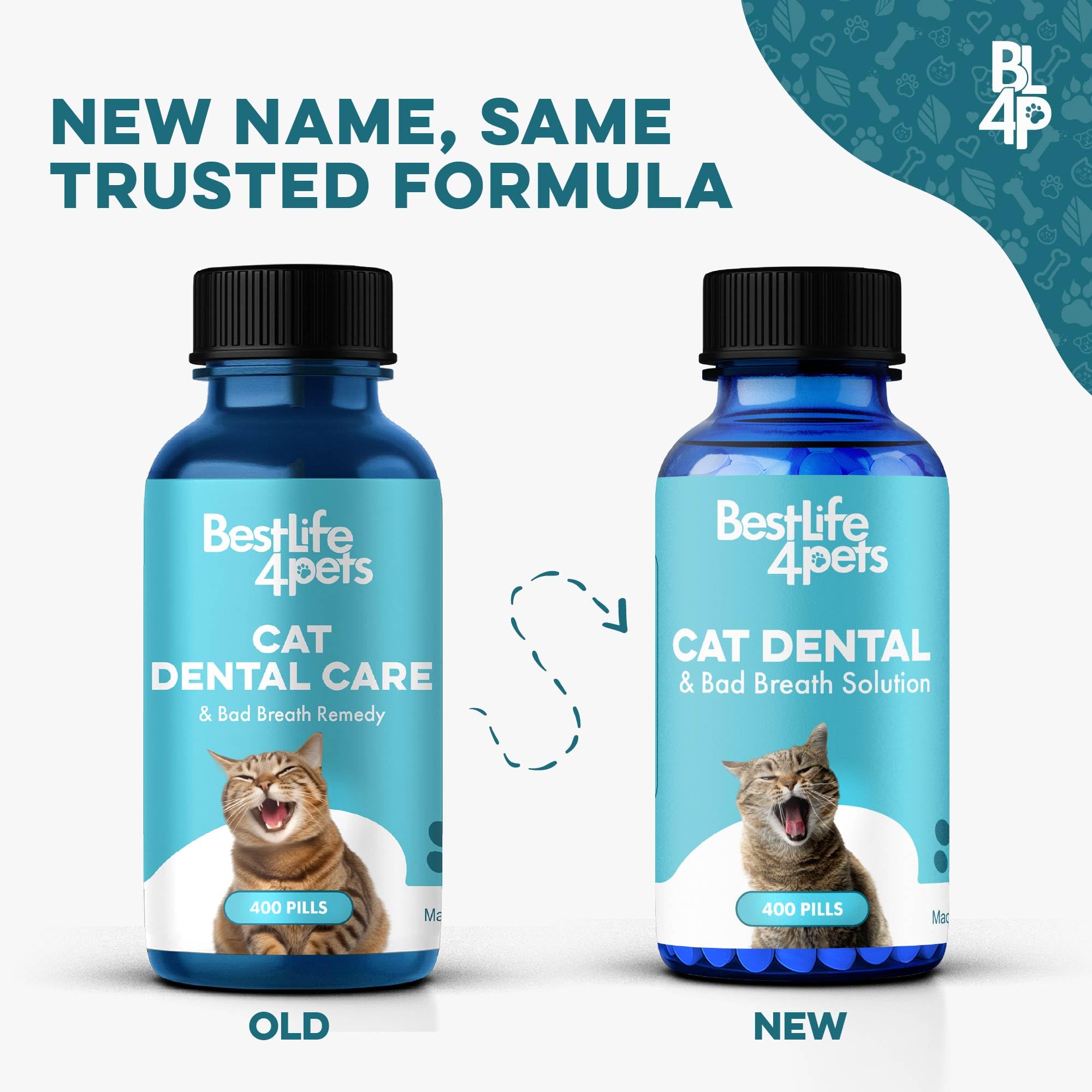 BestLife4Pets: comprimés dissous dans l'eau pour soin dentaire facile