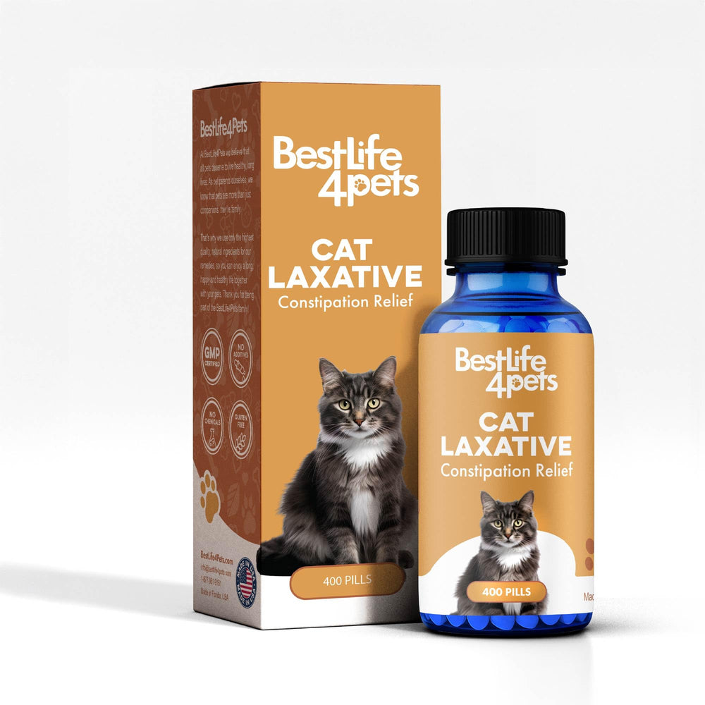 BestLife4Pets – confort digestif durable, soutien doux au quotidien.