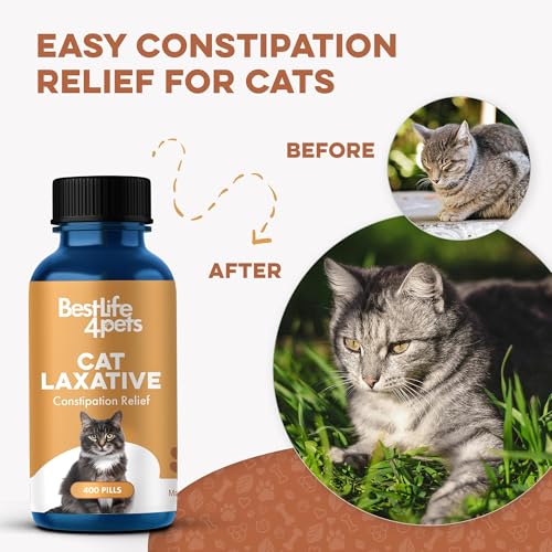 BestLife4Pets – dosage facile chat, intégration simple à la nourriture.