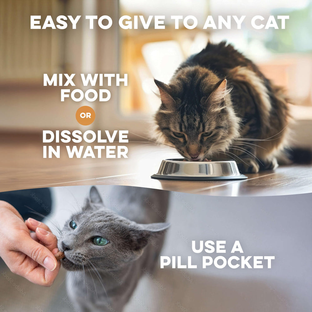 BestLife4Pets – dosage flexible s'adaptant à chaque chat.