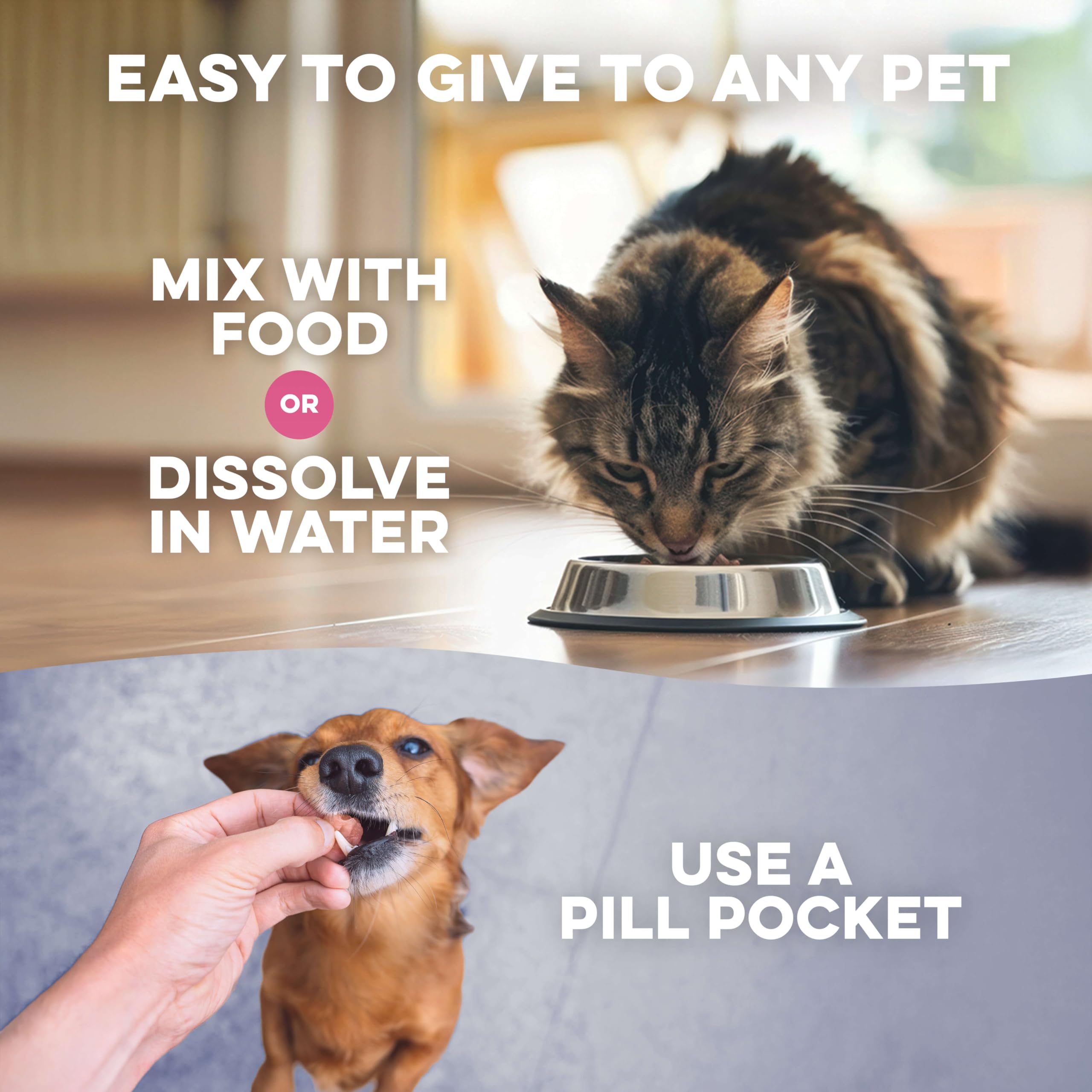 BestLife4Pets – dose quotidienne pratique, aide possible au métabolisme et à l’énergie.