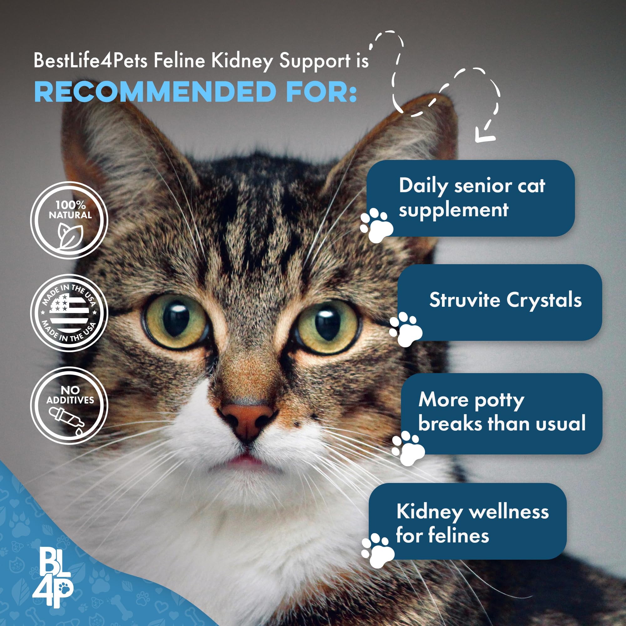 BestLife4Pets emballage etiquette-produit, étiquette claire et informative.